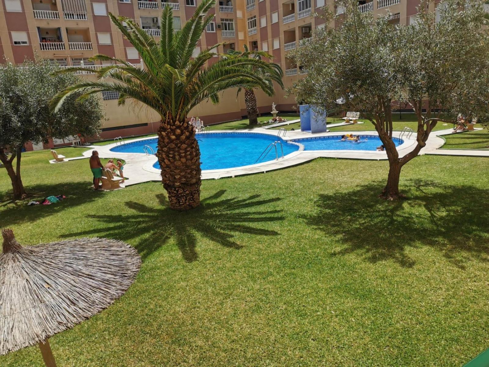 Charming Apartment Τορεβιέχα Εξωτερικό φωτογραφία